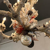 Grand French Hand-Crafted Grotto Nautical Multi-Stem Coral Shell Chandelier