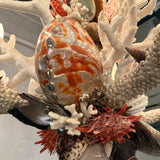 Grand French Hand-Crafted Grotto Nautical Multi-Stem Coral Shell Chandelier