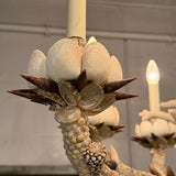 Grand French Hand-Crafted Grotto Nautical Multi-Stem Coral Shell Chandelier