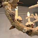 Grand French Hand-Crafted Grotto Nautical Multi-Stem Coral Shell Chandelier