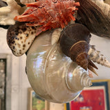 Grand French Hand-Crafted Grotto Nautical Multi-Stem Coral Shell Chandelier