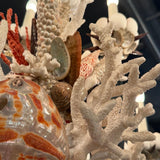 Grand French Hand-Crafted Grotto Nautical Multi-Stem Coral Shell Chandelier