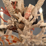 Grand French Hand-Crafted Grotto Nautical Multi-Stem Coral Shell Chandelier