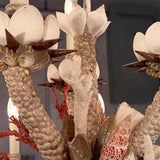 Grand French Hand-Crafted Grotto Nautical Multi-Stem Coral Shell Chandelier