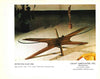 "Jacks" Coffee Table By Adrian Pearsall For Craft Associates Inc.