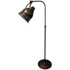 Gunmetal Examination Floor Lamp