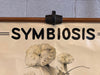 Educational Zoological Symbiosis Wall Chart By New York Scientific Supply Co