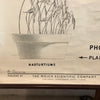 Educational Anatomical Tropisms Biology Chart By The Welch Scientific Company