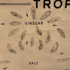 Educational Anatomical Tropisms Biology Chart By The Welch Scientific Company