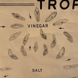Educational Anatomical Tropisms Biology Chart By The Welch Scientific Company