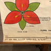Educational Flower And Seed Botanical Chart By New York Scientific Supply Co.