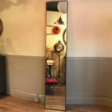 Steel Frame Full Length Mirror