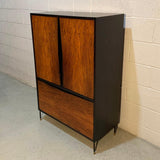 Mid-Century Modern Rosewood Dry Bar Cabinet