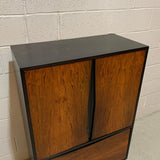 Mid-Century Modern Rosewood Dry Bar Cabinet