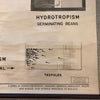 Educational Anatomical Tropisms Biology Chart By The Welch Scientific Company