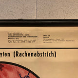 German Educational Anatomical Sepsis Study Chart