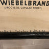 German Educational Vegetable Botanical Roll-Up Chart