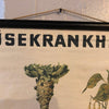 German Educational Vegetable Botanical Roll-Up Chart