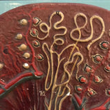 Kidney Model on Plaque