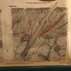 Frohse Anatomical Circulatory System Chart By A.J. Nystrom & Co.