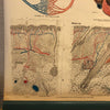 Frohse Anatomical Circulatory System Chart By A.J. Nystrom & Co.