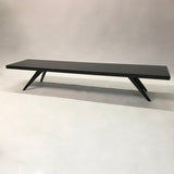 Black Lacquered Mahogany Coffee Table