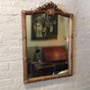 Gilded Plumed Mirror