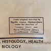 Educational Frog Embryology Chart By The Welch Scientific Company