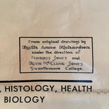 Educational Frog Embryology Chart By The Welch Scientific Company