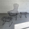 Bird Lounge Chair WIth Ottoman By Harry Bertoia For Knoll