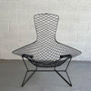 Bird Lounge Chair WIth Ottoman By Harry Bertoia For Knoll