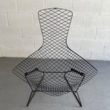 Bird Lounge Chair WIth Ottoman By Harry Bertoia For Knoll