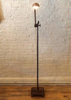 Extended Gooseneck Floor Lamp