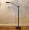 Extended Gooseneck Floor Lamp