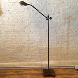Extended Gooseneck Floor Lamp
