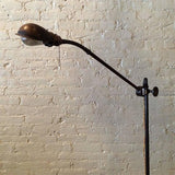 Extended Gooseneck Floor Lamp