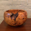 Organic Modern Lodgepole Burl Wood Art Bowl