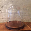 Glass Display Dome Cloche with Walnut Base