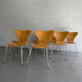 Series 7 Chairs By Arne Jacobsen For Fritz Hansen