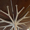 Redwood Petal Dining Table By Richard Schultz For Knoll