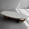 Midcentury Terrazzo Walnut Oblong Coffee Table By Harvey Probber