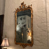 Ornate Carved Gilt Wood Mirror