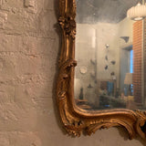 Ornate Carved Gilt Wood Mirror