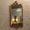 Ornate Carved Gilt Wood Mirror