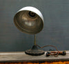 Industrial Gooseneck Lamp