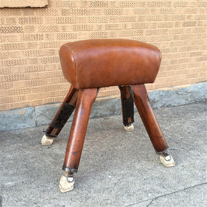 Danish Pommel Horse