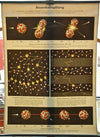 Nuclear Fission Chart