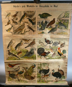 German Bird Chart
