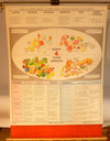 Nutrition Chart