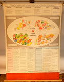 Nutrition Chart